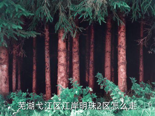 芜湖弋江区江岸明珠2区怎么走