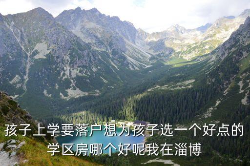 孩子上学要落户想为孩子选一个好点的学区房哪个好呢我在淄博
