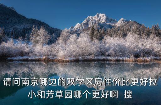 请问南京哪边的双学区房性价比更好拉小和芳草园哪个更好啊  搜
