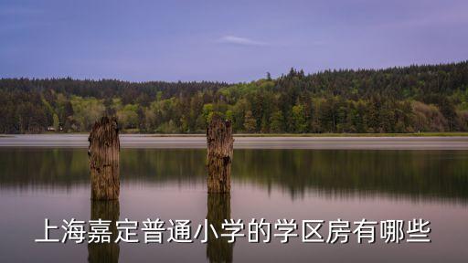 永裕小学学区房有哪些，上海嘉定普通小学的学区房有哪些