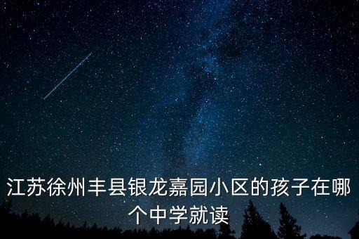 江苏徐州丰县银龙嘉园小区的孩子在哪个中学就读