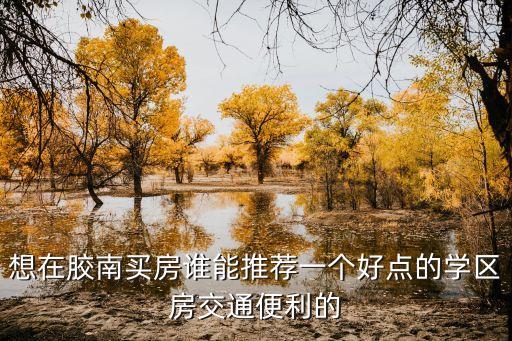 想在胶南买房谁能推荐一个好点的学区房交通便利的