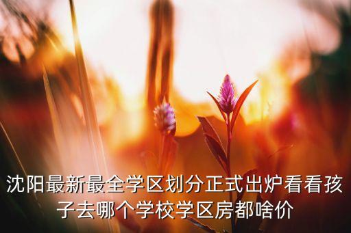 沈阳最新最全学区划分正式出炉看看孩子去哪个学校学区房都啥价