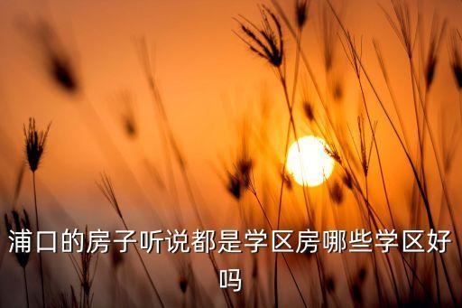 浦口的房子听说都是学区房哪些学区好吗
