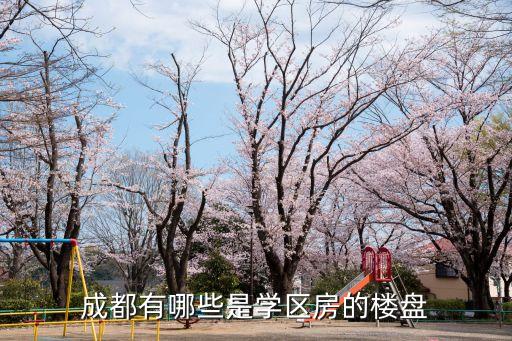 成都有哪些是学区房的楼盘