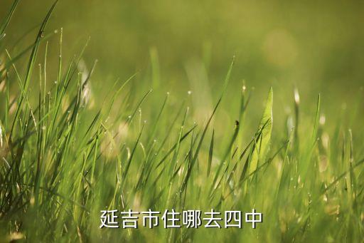 延吉万城公馆是哪个学区房，这是吉林延边的哪里求解答