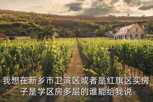 我想在新乡市卫滨区或者是红旗区买房子是学区房多层的谁能给我说