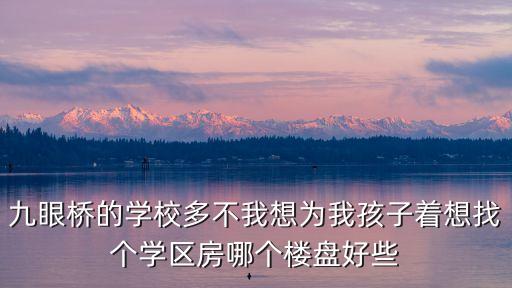 九眼桥的学校多不我想为我孩子着想找个学区房哪个楼盘好些