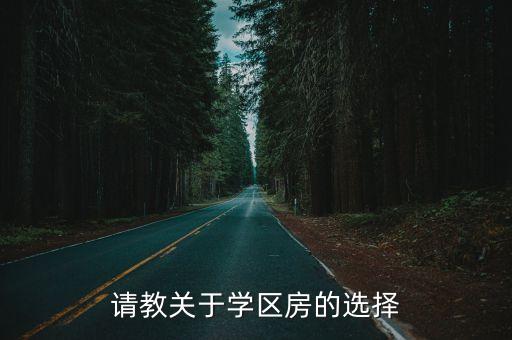 请教关于学区房的选择