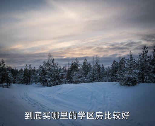 到底买哪里的学区房比较好