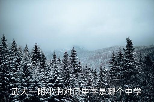 武大一附小的对口中学是哪个中学