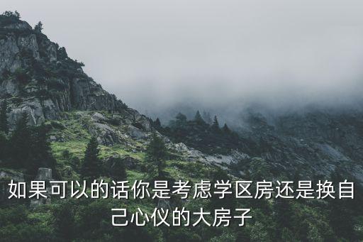 如果可以的话你是考虑学区房还是换自己心仪的大房子