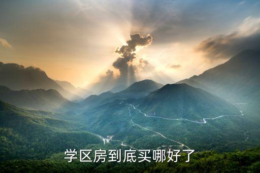 学区房到底买哪好了