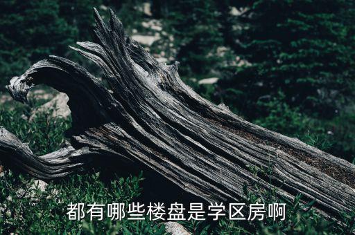 都有哪些楼盘是学区房啊