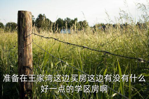 2017汉口学区房有哪些，南大街上的学区房都有哪些呀