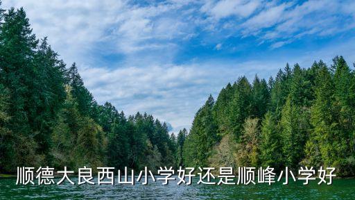 顺德大良西山小学好还是顺峰小学好