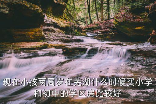 现在小孩两周岁在芜湖什么时候买小学和初中的学区房比较好