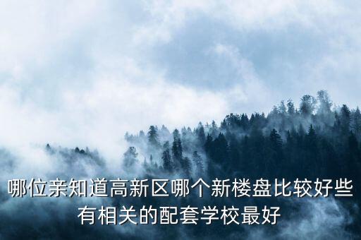 哪位亲知道高新区哪个新楼盘比较好些有相关的配套学校最好