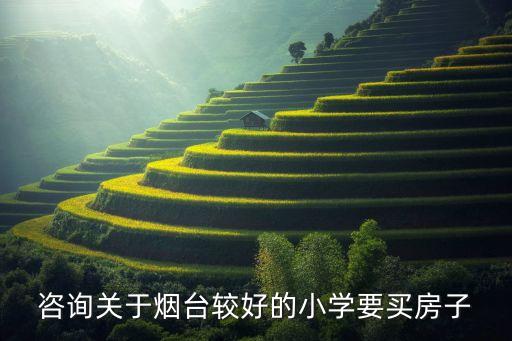 烟台芝罘区学区房哪个好，烟台芝罘区那个小学比较好