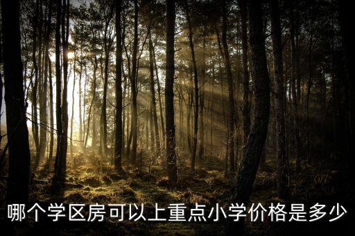 哪个学区房可以上重点小学价格是多少