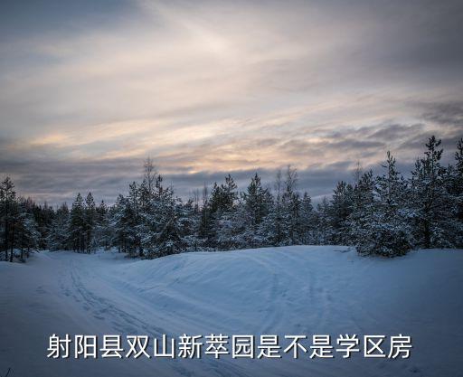 射阳双学区房有哪些，请问射阳清华园属于新射中学区房吗