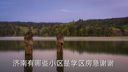 济南有哪些小区是学区房急谢谢