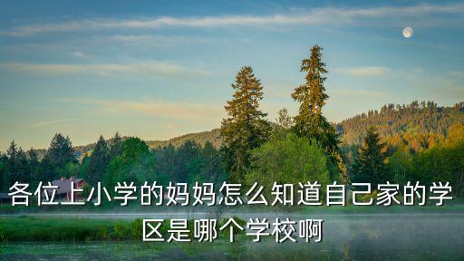 各位上小学的妈妈怎么知道自己家的学区是哪个学校啊