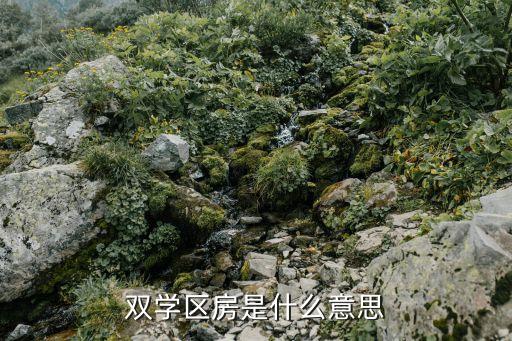 双学区房是什么意思