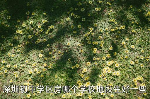 深圳好的学区房推荐哪个，有好的学区房推荐吗