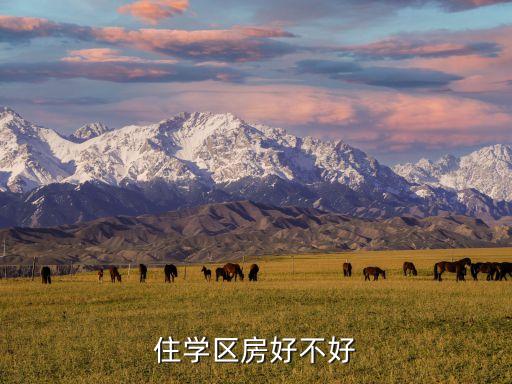 住学区房好不好