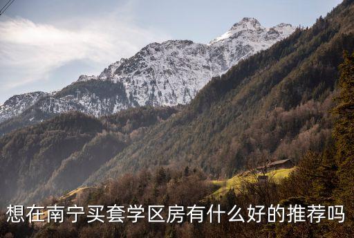 想在南宁买套学区房有什么好的推荐吗