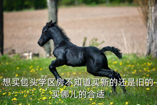 包头香林湾属于哪个学区房，包头市蒙古族幼儿园哪个小区属于片内