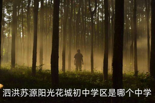 泗洪苏源阳光花城初中学区是哪个中学