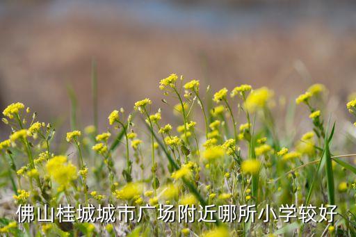 佛山桂城城市广场附近哪所小学较好