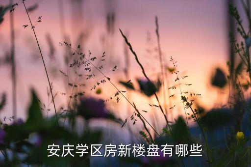 安庆学区房新楼盘有哪些