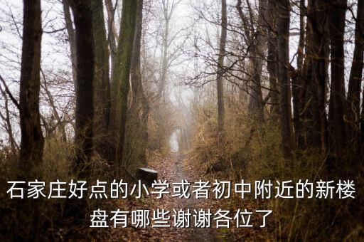 石家庄好点的小学或者初中附近的新楼盘有哪些谢谢各位了