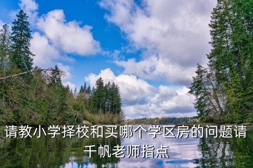 请教小学择校和买哪个学区房的问题请千帆老师指点