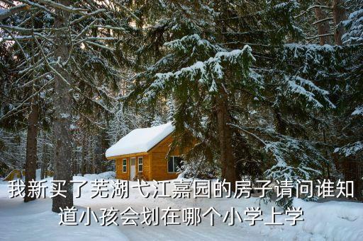 我新买了芜湖弋江嘉园的房子请问谁知道小孩会划在哪个小学上学