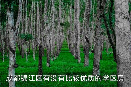 成都有哪些优势学区房，成都锦江区有没有比较优质的学区房