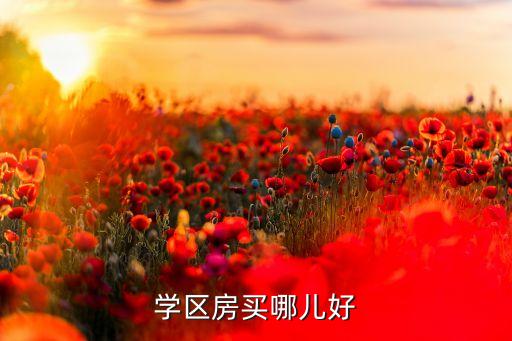 学区房买哪儿好