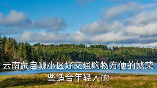 云南蒙自哪小区好交通购物方便的繁荣些适合年轻人的