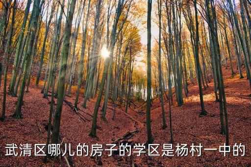 天津武清区哪个学区房好，听说七小是武清最好的小学想买学区房有没有推荐