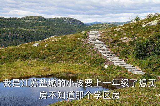 盐城观景湖是哪个学区房，盐城小学学区划分