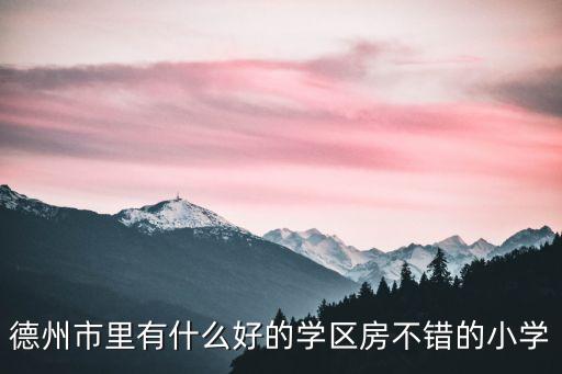德州市里有什么好的学区房不错的小学