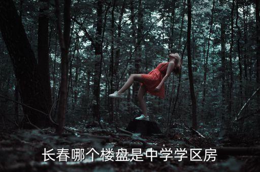 长春哪个楼盘是中学学区房
