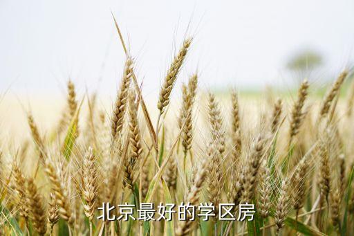 北京最好的学区房
