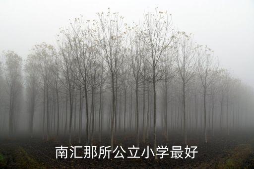 南汇那所公立小学最好