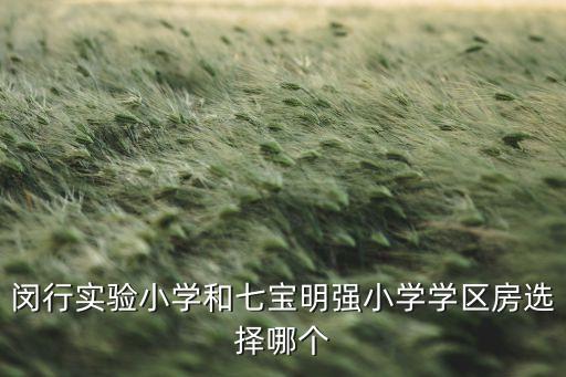 上海七宝哪个学区房最好，闵行实验小学和七宝明强小学学区房选择哪个