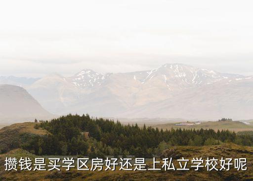 攒钱是买学区房好还是上私立学校好呢
