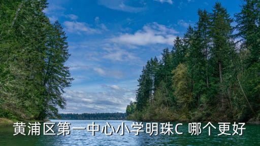黄浦区第一中心小学明珠C 哪个更好